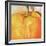 Poivron Jaune, c.2006-Nathalie Clement-Framed Premium Giclee Print