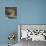 Poker Dogs 3-Jenny Newland-Giclee Print displayed on a wall