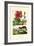 Pokeweed, 1833-39-null-Framed Giclee Print