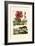 Pokeweed, 1833-39-null-Framed Giclee Print