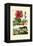 Pokeweed, 1833-39-null-Framed Premier Image Canvas