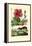 Pokeweed, 1833-39-null-Framed Premier Image Canvas