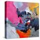 Stretched Canvas Print