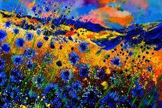 Wild Flowers-Pol Ledent-Stretched Canvas