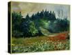 Stretched Canvas Print