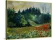 Stretched Canvas Print