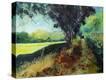 Stretched Canvas Print