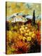 Stretched Canvas Print