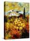Stretched Canvas Print