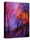Stretched Canvas Print