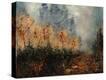 Stretched Canvas Print