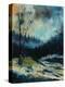 Stretched Canvas Print