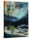 Stretched Canvas Print