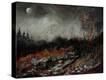 Stretched Canvas Print