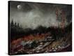 Stretched Canvas Print