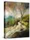 Stretched Canvas Print