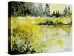 Stretched Canvas Print