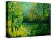 Stretched Canvas Print