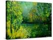 Stretched Canvas Print