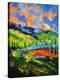 Stretched Canvas Print