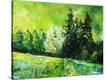 Stretched Canvas Print