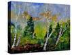Stretched Canvas Print