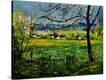 Stretched Canvas Print