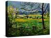 Stretched Canvas Print