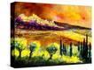 Stretched Canvas Print
