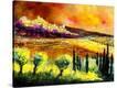 Stretched Canvas Print