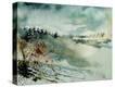 Stretched Canvas Print