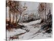 Stretched Canvas Print