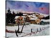 Stretched Canvas Print
