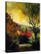 Stretched Canvas Print