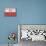 Poland Country Flag - Barnwood Painting-Lantern Press-Premium Giclee Print displayed on a wall