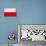 Poland Flag Design with Wood Patterning - Flags of the World Series-Philippe Hugonnard-Art Print displayed on a wall