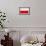 Poland Flag Design with Wood Patterning - Flags of the World Series-Philippe Hugonnard-Framed Art Print displayed on a wall