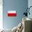 Poland Flag Design with Wood Patterning - Flags of the World Series-Philippe Hugonnard-Mounted Art Print displayed on a wall
