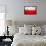 Poland Flag-igor stevanovic-Framed Stretched Canvas displayed on a wall
