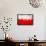 Poland Flag-igor stevanovic-Framed Stretched Canvas displayed on a wall