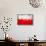 Poland Flag-igor stevanovic-Framed Stretched Canvas displayed on a wall