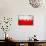 Poland Flag-igor stevanovic-Premium Giclee Print displayed on a wall