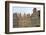 Poland, Wroclaw, Row of Houses at Rynek on the South Side of the Rynek Ring-Roland T. Frank-Framed Photographic Print