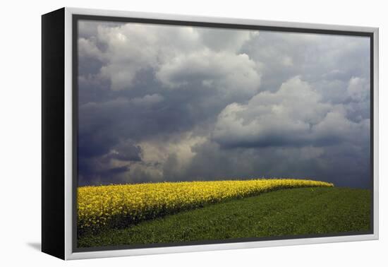 Poland-Maciej Duczynski-Framed Premier Image Canvas