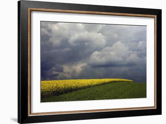 Poland-Maciej Duczynski-Framed Photographic Print