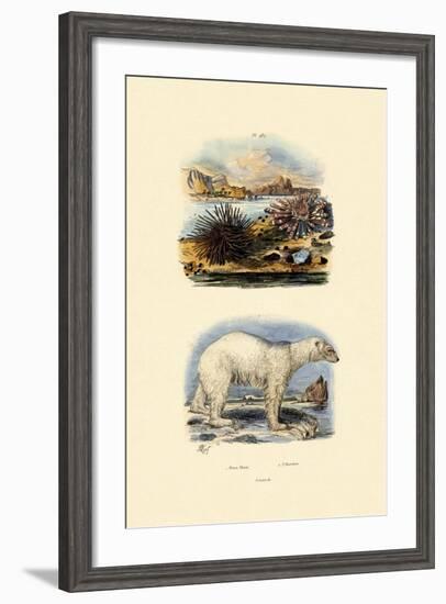 Polar Bear, 1833-39-null-Framed Giclee Print