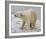 Polar Bear after the Bath Full Bleed-Martin Fowkes-Framed Giclee Print