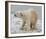 Polar Bear after the Bath Full Bleed-Martin Fowkes-Framed Giclee Print