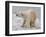 Polar Bear after the Bath-Martin Fowkes-Framed Giclee Print