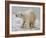 Polar Bear after the Bath-Martin Fowkes-Framed Giclee Print